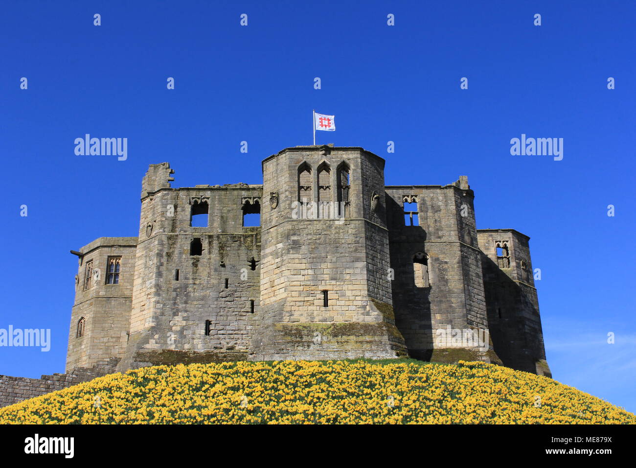 Northumberland, Royaume-Uni. 21 avril, 2018. Royaume-uni : Météo Météo jouissent de jonquilles au château de Warkworth comme heatwave continue à travers la Grande-Bretagne avec plus chaudes en avril de 70 ans. 21 avril, 2018. David Whinham/Alamy Live News Banque D'Images