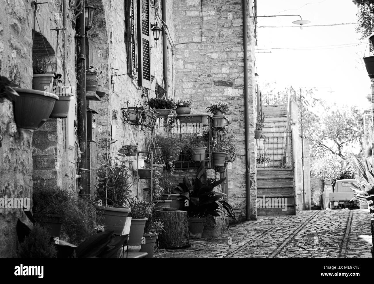 Vases plantes accroché sur le mur de brique en Spello (Ombrie, Italie) Banque D'Images