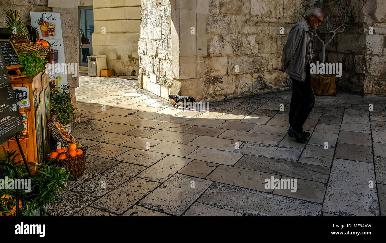 Un chat errant noir entre dans le soleil, près de la promenade Riva, dans la vieille ville de l'ancienne ville portuaire de Split, Croatie comme un homme Banque D'Images