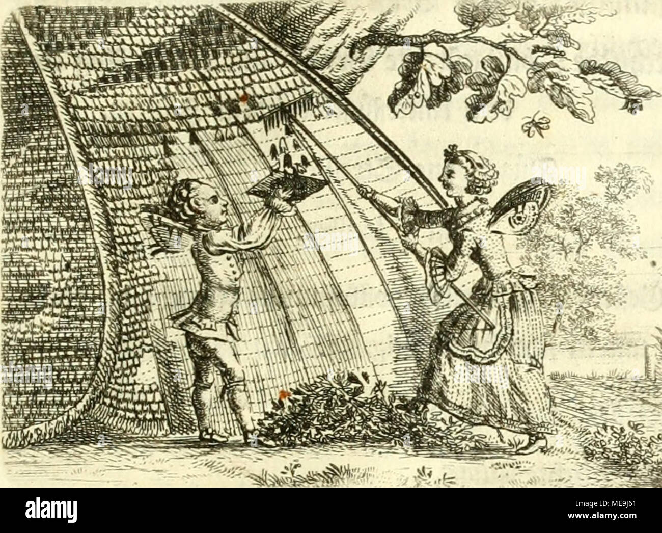 Die Kennzeichen Der Insekten Nach Anleitung Des Ka Nigl Schwed Leibarzts Ritters Und Karl Linnaeus Erla Durch Xxiv Kupfertafeln Utert Nata Rlichen Geschichte Und Mit Derselben Begleitet Ri 4 Gt Ff