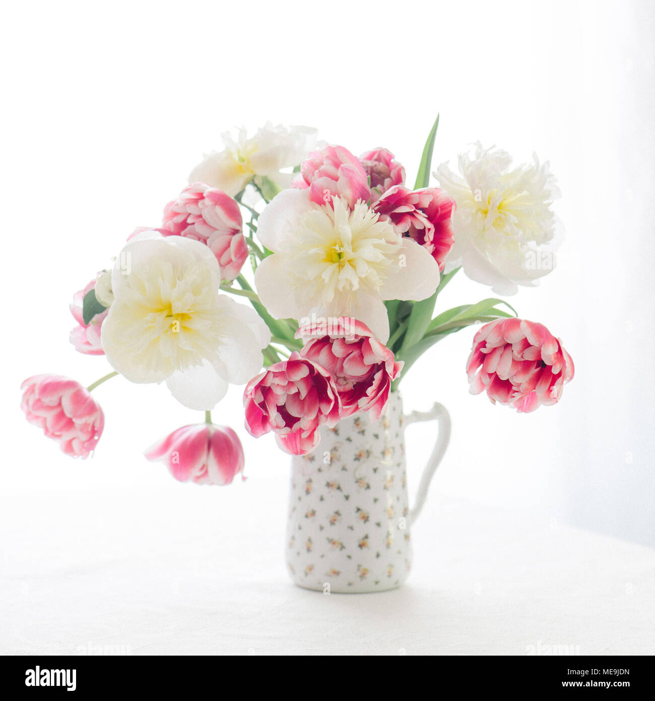 Les tulipes avec un fond blanc Banque D'Images