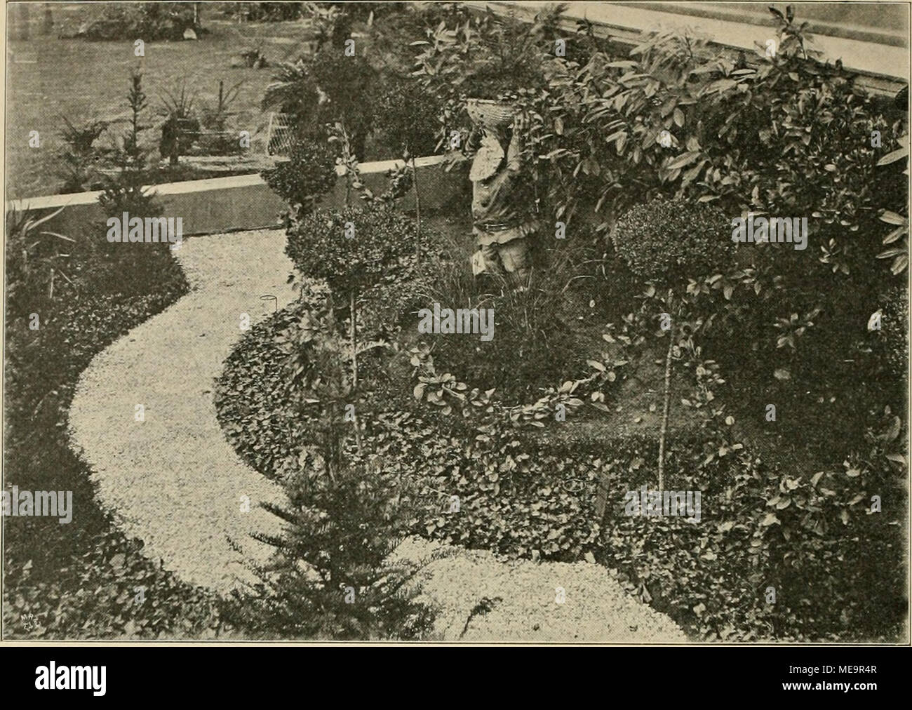 . Die Gartenwelt . Blick auf einen Vorgarten, ausgeführt nach dem Entwürfe von Obergärtner F. Wirth auf der Ausstellung à Liegnitz. Originalaufnahme für die "Gartenwelt''. Verfasser hat versucht, den Garten pour reich als möglich aus- zuschmücken. Blumenbeete aufserdem, vorgesehen sind ein kleines Bassin mit Springbrunnen, sowie eine kleine Felspartie vor dem Balkon, den unser Bild zeigt. Felspartieen sind im allgemeinen dans Vorgärten nur selten gut anzubringen. Meist wirken sie zu gekünstelt. Aber doch, Wie man, in diesem Falle durch rei- chen Pflanzenschmuck Gesteinsgruppen belebte zeigen, Banque D'Images