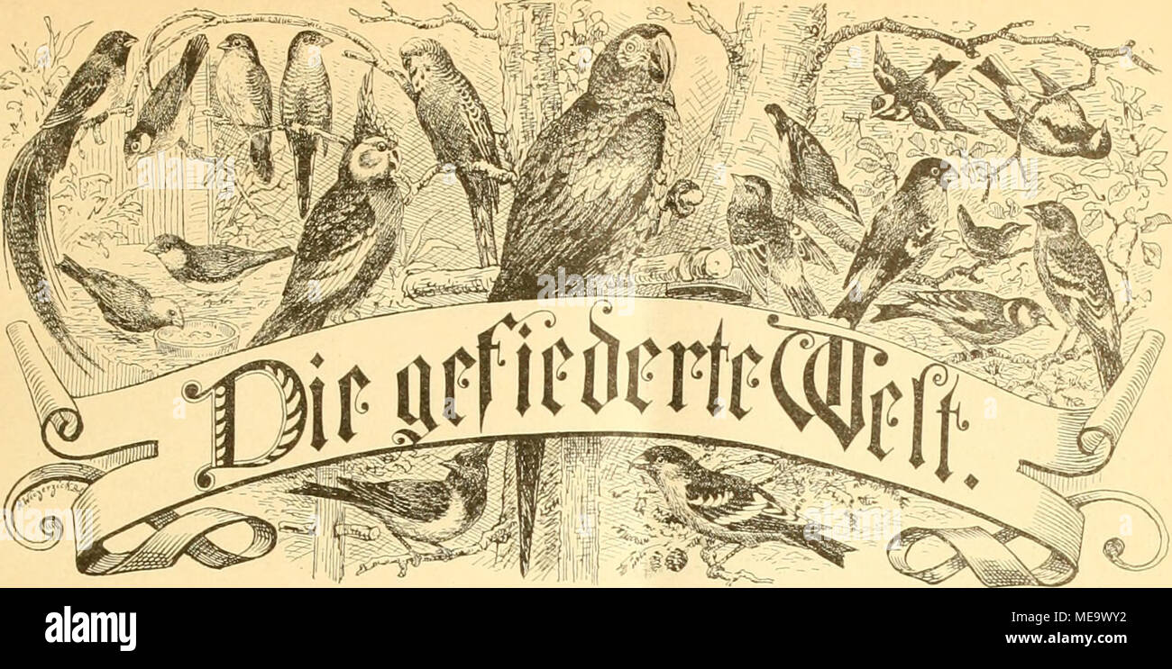 F 8e Banque D Image Et Photos Alamy