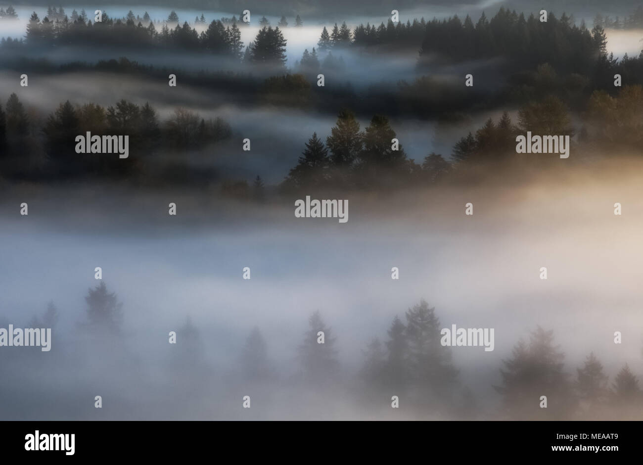 Brouillard dans les contreforts de Cascade au lever du soleil - Oregon USA Banque D'Images