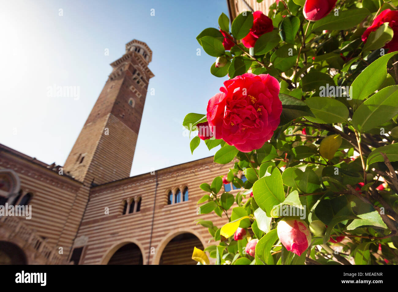 Torre dei Lamberti de Cortile del Mercato Vecchio Banque D'Images