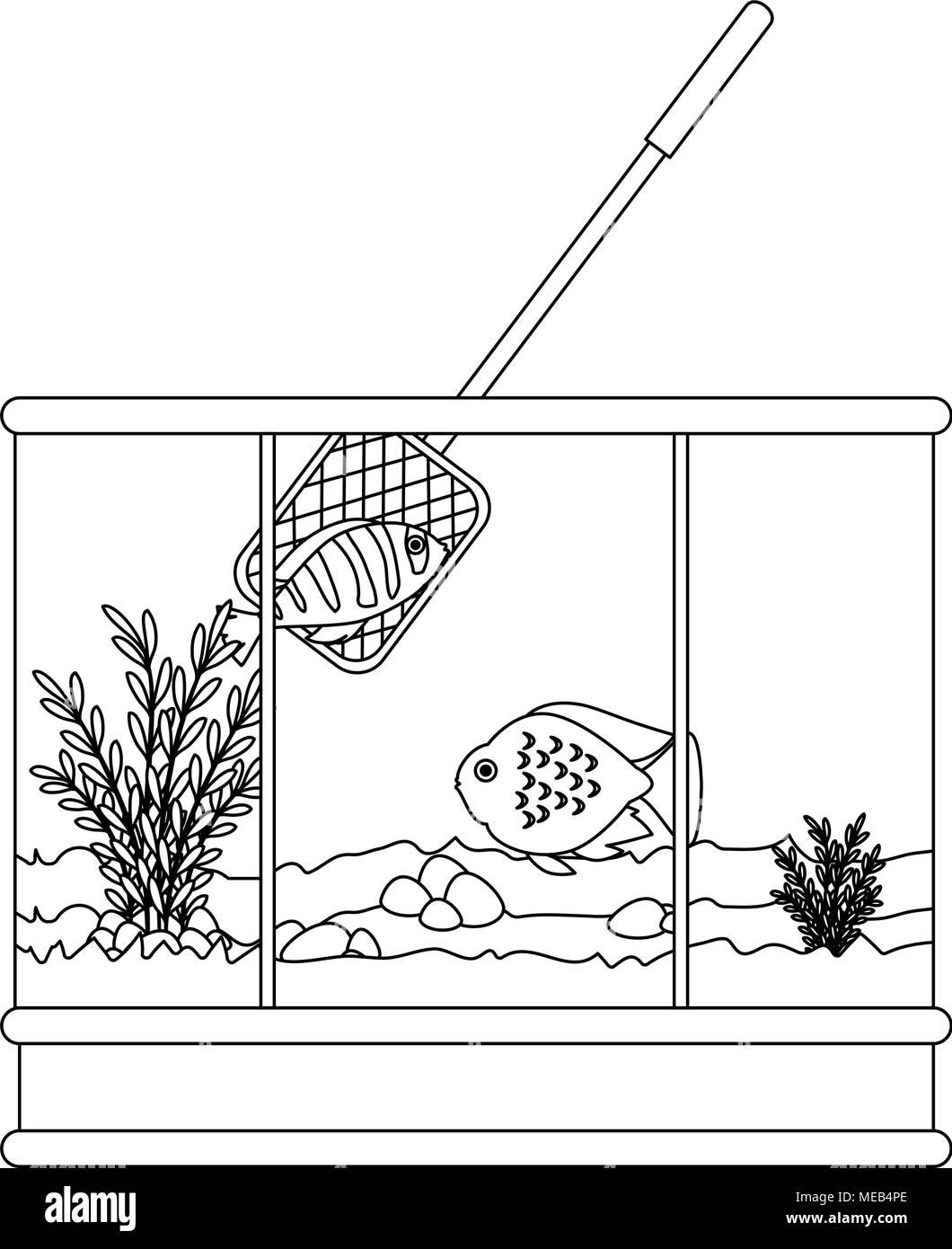 Aquarium carré avec des couleurs et de poisson filet de pêche Illustration de Vecteur