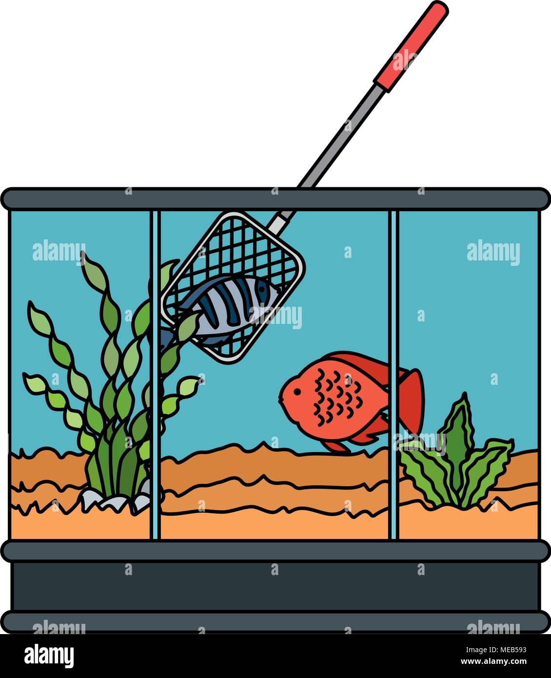 Aquarium carré avec des couleurs et de poisson filet de pêche Illustration de Vecteur