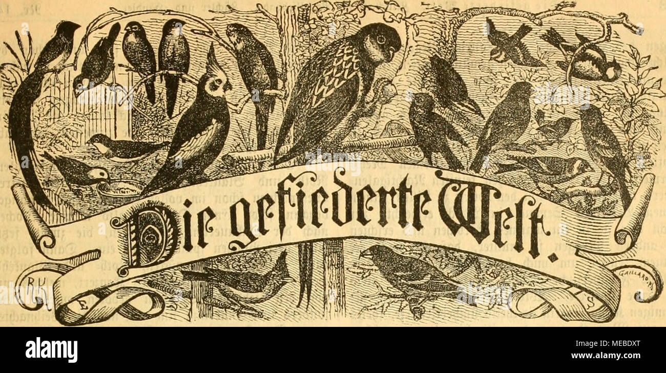 . Die Welt Gefiederte . 3citf$rift fÃ¼r¶gcIIieb^SÃ aber,  =3Ã¼(fttcr ^^¤Ã l'nblcL eftelliingen^¶Ã burd jebe SBut banblung foitiie^ :, jebe 5poflauflaIt. ^¤ ietteljÃ Sreig Â"^^ 3 rlid TOatt ffiÃ¶. entlid^^d SJummev eine. ^erauÃ¤gcgebeu Â Ã¶sur Dr f ttrl professeurs^. Scitung SeUeatlianceftra^ : Serlin, e 81 lU. 21 roerben gejpaltene gen njei bie ^Petitjeile mit 255)3fg. Bere(^Sefietlungen bcrSrpebition unb net dans unbSÃebaftion entgegengenommen. Les RH. 14. JlagbcburÃ¶, btn l. ,^pril 1892. XXI. Jaljrgang. ^uSimmung jJtrnusgtBtrs ttÂ" ^trragsBuÃ¤itt unb itantCnnji ni(9t mrSr gt^atttt. »^Ãatt « 3gg : iion mein Banque D'Images
