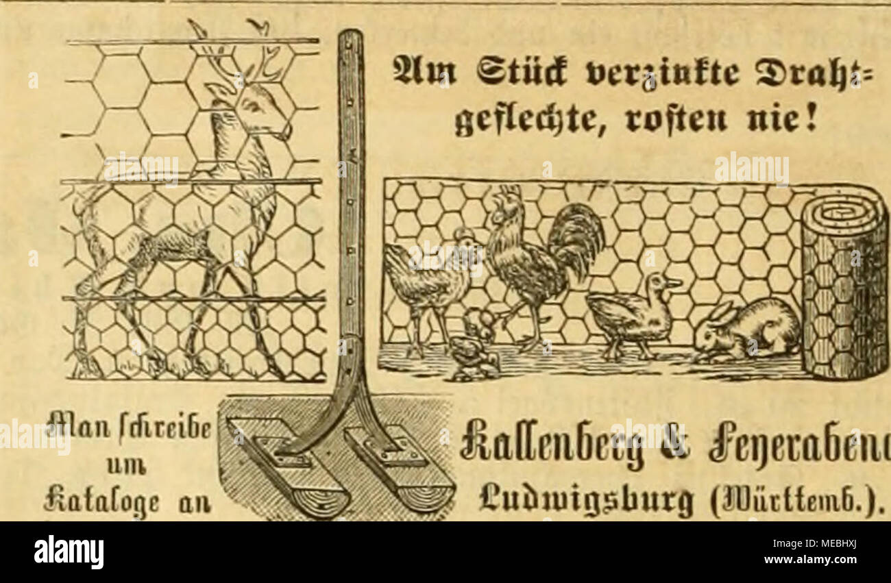. Die Welt Gefiederte . Slnt Decjinftc Xtalit Stti(t-- (jcflec coflen^tc, nie ! Fflaii frfitf fiafost um iGf([rii6prg &AMP ; j'^cijera6IIE([ t'uJiiuigsburg fflütlteia (6.). Jfafdjen üjeite 5" : [925] 19 mm für ögel S3J6, 25 Südjlein » » » » » gafanen » 31 41 ^» » » » §51 übner afcn 76 iwnbe » » » gfiebe 1 100 .. 90] 1. 40 1. 15 pour 1. - &Gt ; Quabrat - 90 mètres. - 80 - 60 J ®))i;'Ränni d'offset 94en, für" &lt;Du^^6 84 BNT, einjeln 10 Ji., lieferbar Snbe Slpril ^^anfangs ober Mai. Srocfenc SImeifeneier I. Qualität pr. 75 ^ cmpfteblt Siter dans litoppa Zlvsa F.", (926J. Defterreicb Spauisli aromatiques unb Repas Cayc Banque D'Images
