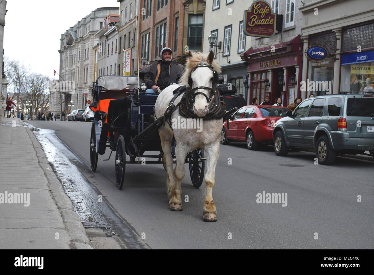 Transport d'un cheval dans la ville de Québec, près du Château Frontenac Banque D'Images