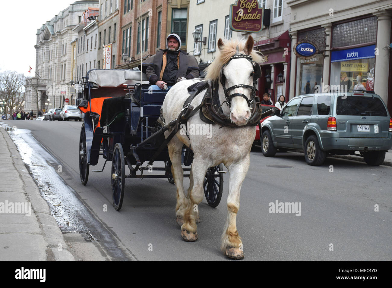 Transport d'un cheval dans la ville de Québec, près du Château Frontenac Banque D'Images