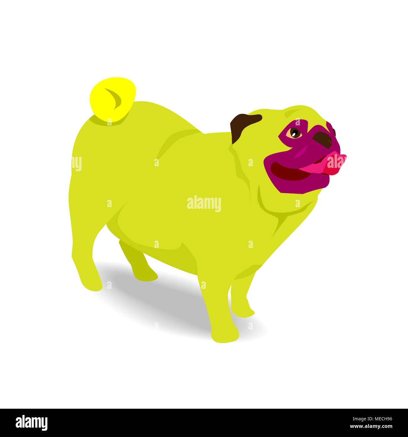 Pug dog jaune stick out tongue avec ombre à fond blanc Illustration de Vecteur