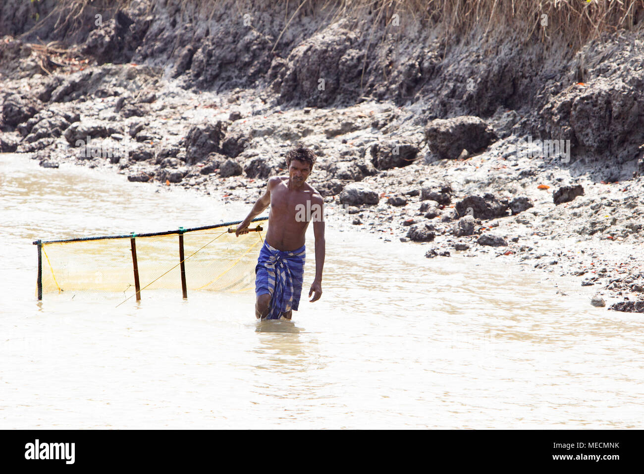 La pêche à la crevette au Sunderbans Banque D'Images