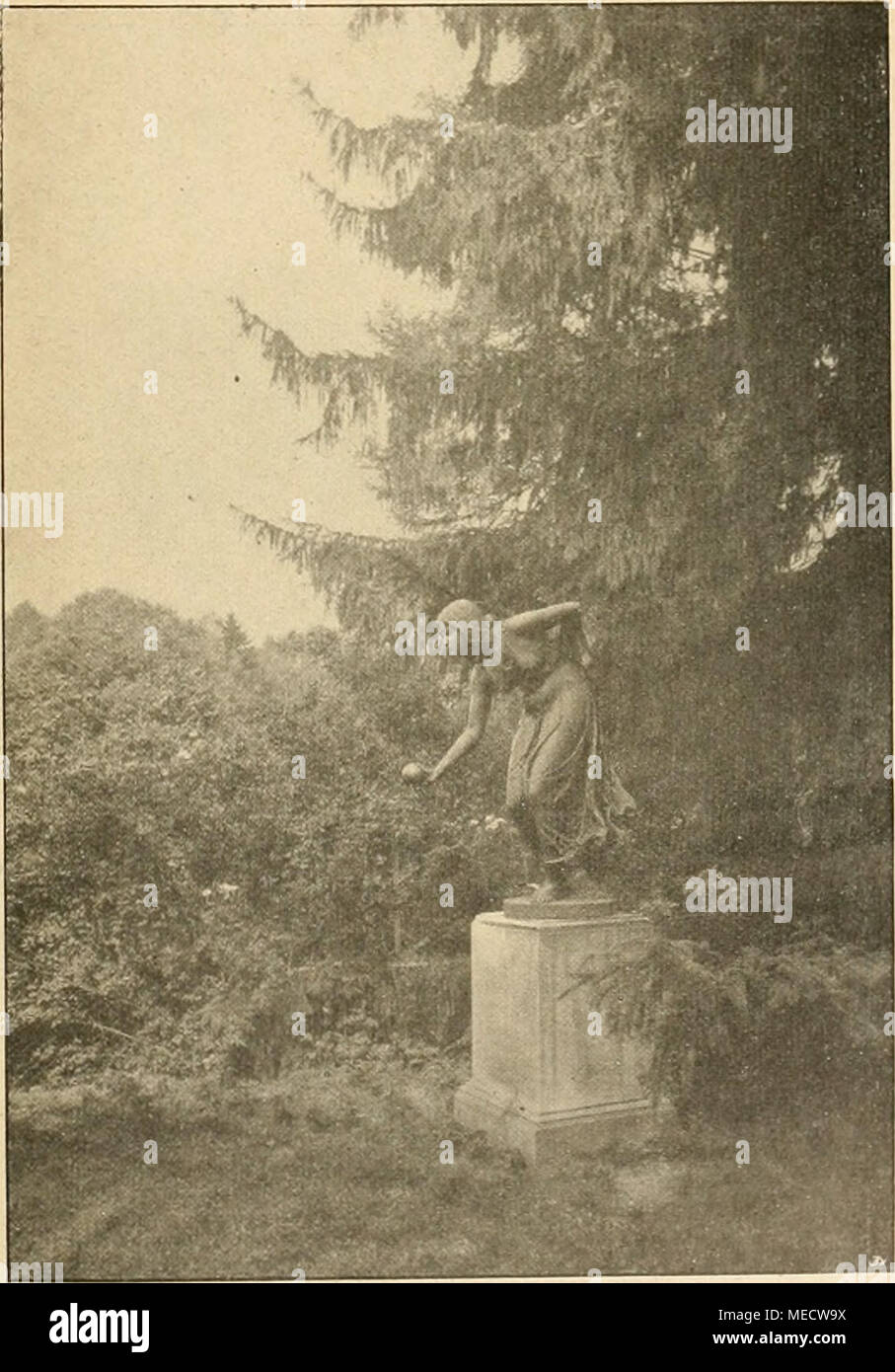 . Die Gartenwelt . Abb. 3. Des Jagdschlosses Kugelwerferin im Park Berlin. Banque D'Images