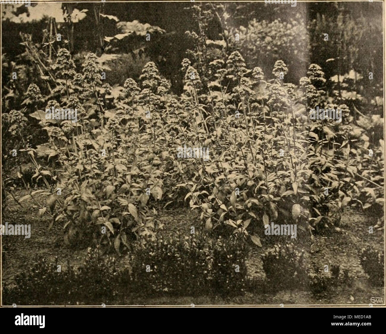 Rote J Banque D Image Et Photos Alamy
