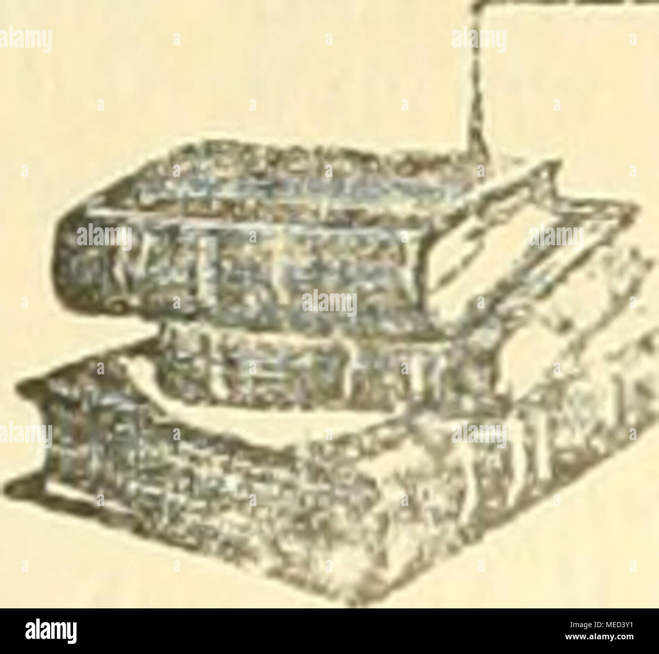 Offel Banque D Image Et Photos Alamy