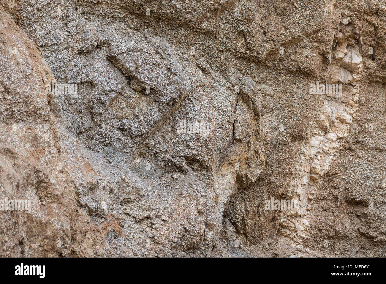 Granite affleurement rocheux avec feldspath blanc couper à travers les veines. La Sierra Nevada, la Colombie, l'Amérique du Sud. Banque D'Images