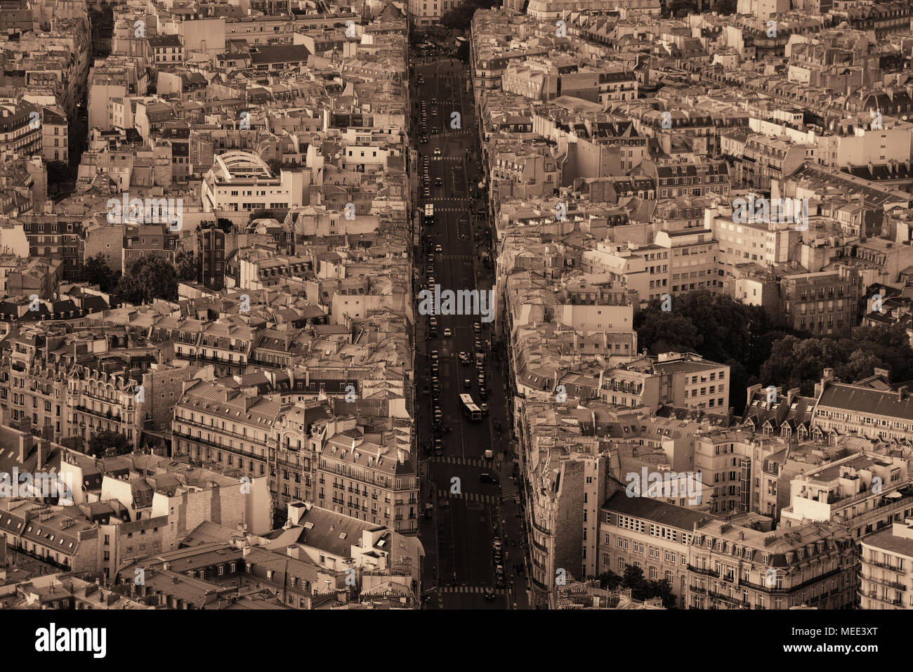 Rue de la ville de Paris vue sur le toit en noir et blanc. Banque D'Images