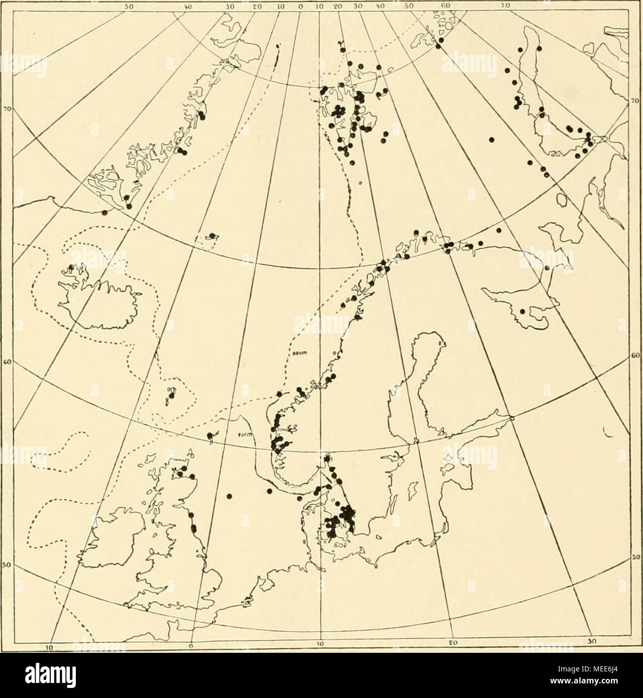 . Die Echinodermen des Eisfjords . Fig. 27. Progressif Ophiura. robtista 10-169 bis 178 m (Mortensen, 1904, 1910) ; ohne nähere Angaben Möbius (1874) ; schwed. Exped. 1900 : 74° 30'., 80 bis 100 m (Zool. Mus., Uppsala). Südostgrönland, 55 bis 90 m (Mortensen, 1913). -Westgrön- land, 10-410 m (LüTKEN, 1855, 1857, 1858, 1864 Norman 1877 Stimpson, Düncan &AMP ; 1878, Grieg 1893 Sladen, Mortensen, 1913 Un ferner Ltman 1865). Nordwestgrönland, 5,5-63 m (Ives, 1892 Rankin 1901. ferner Stimpson 1864). Terre d'Ellesmere, 27-125 m (Ddncan &AMP ; 1877, 1878 Sladen, 1881). Jones Sund und Nähe dont, 10-108 m (28 Fu Banque D'Images