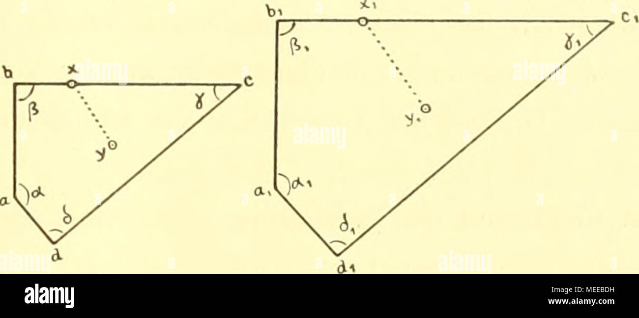 . Die Cephalopoden, I. Teil . J'Textfigur. Zur Analogueie Imliclikeit der geometrischen un und der typischen. Die ganzen Vierecke sind ,,ähnlich", ihre détachées sind ..des homologues". (.Vergleiche die Seiten (" und "die J, Winkel (ß undy3i), die Punkte auf dem Ver- lauf der Seiten [x .r, IMD) oder in einer bestimmten dazu im Innern Lagebeziehung (&gt ;' und y,) liegen !) Da wir im Organischen Vielheiten tjpisch gleichartigen in Formen vor uns haben, suchen wir für den Vergleich oder die begriffliche (systematische) Vereinigung derselben einen gemeinsamen mass- poignarder, ein "tertium comparationis" Banque D'Images
