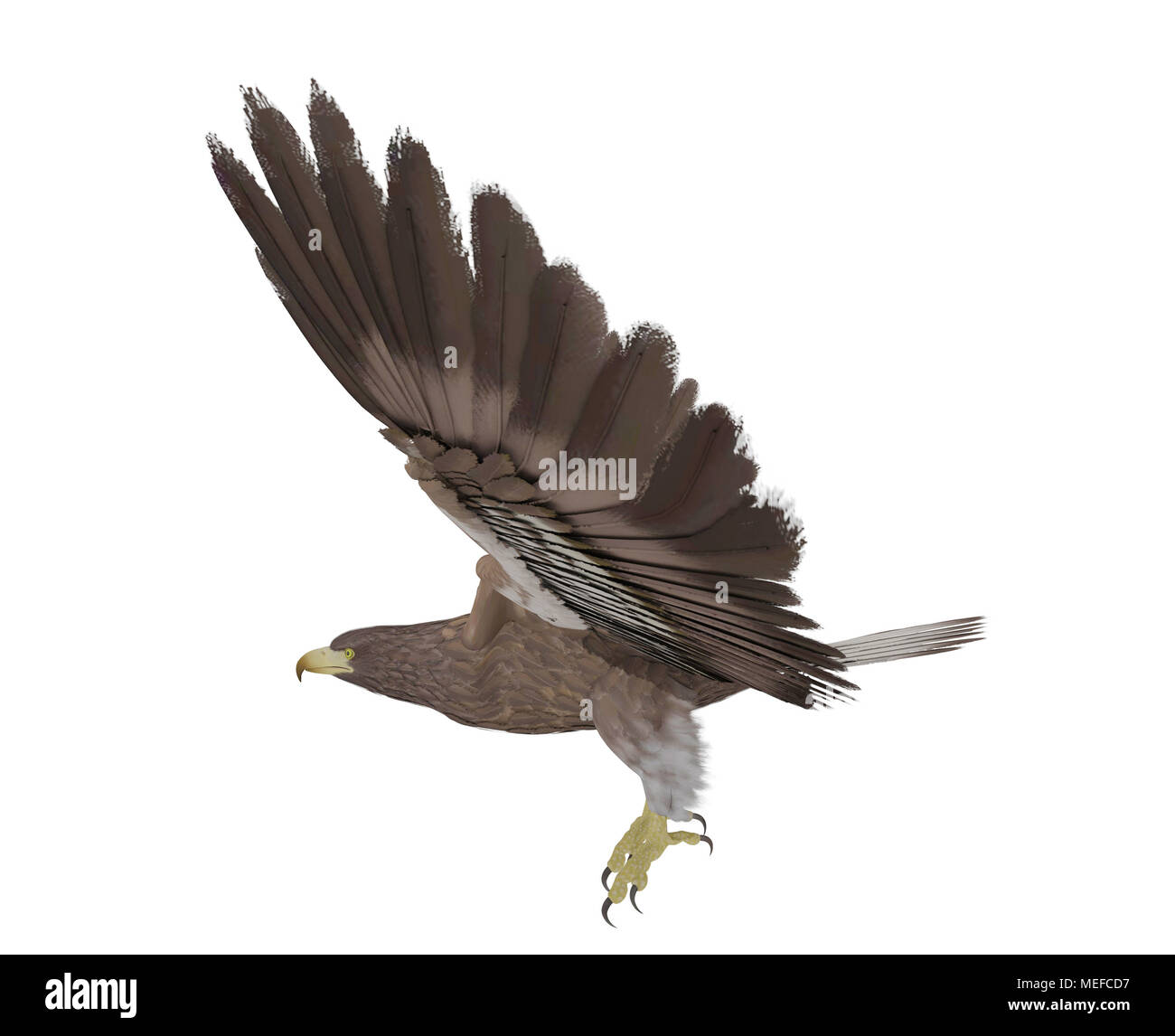 Hawk flying isolé sur fond blanc, 3D Rendering Banque D'Images