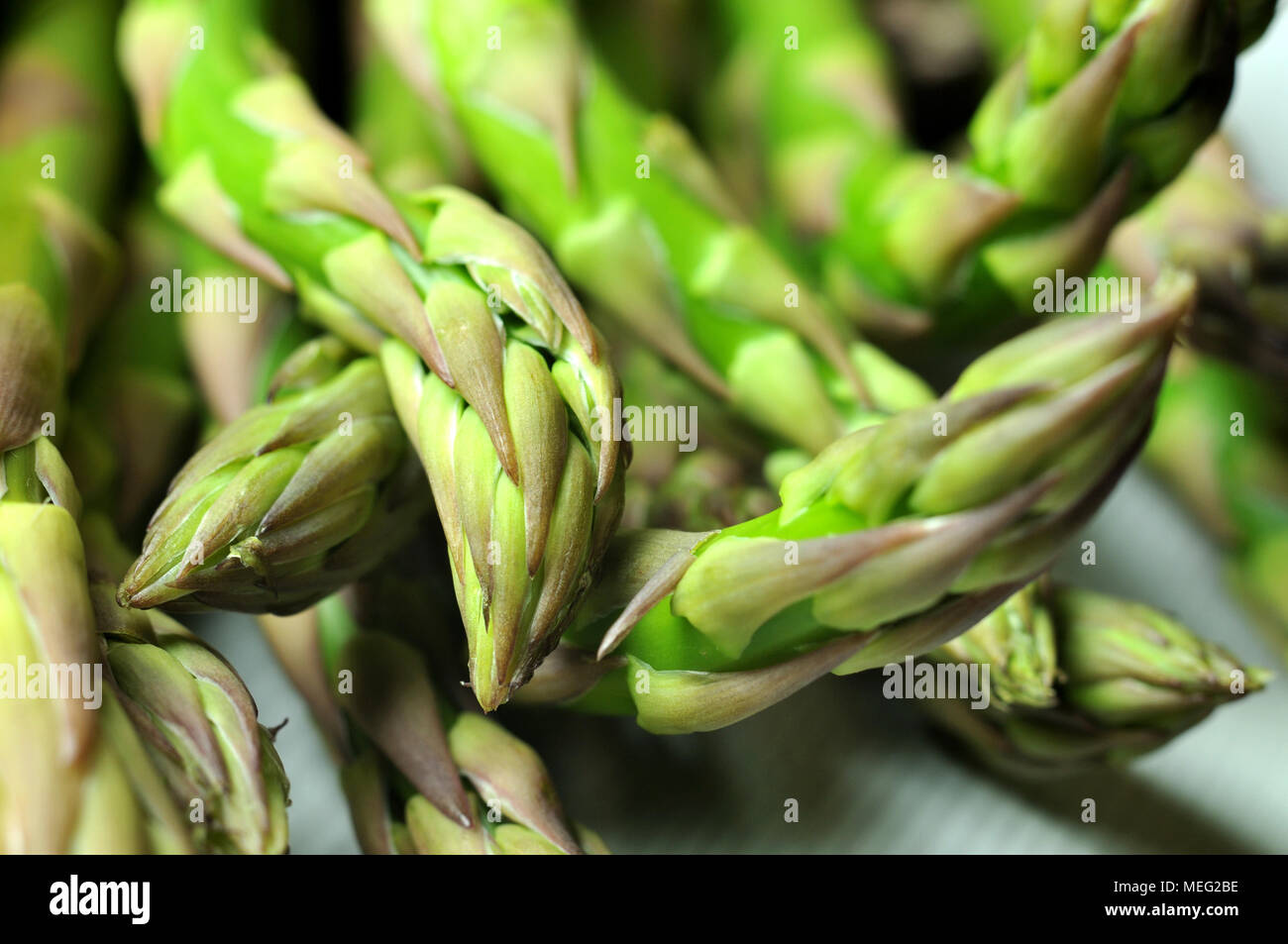 L'asperge verte de conseils Banque D'Images