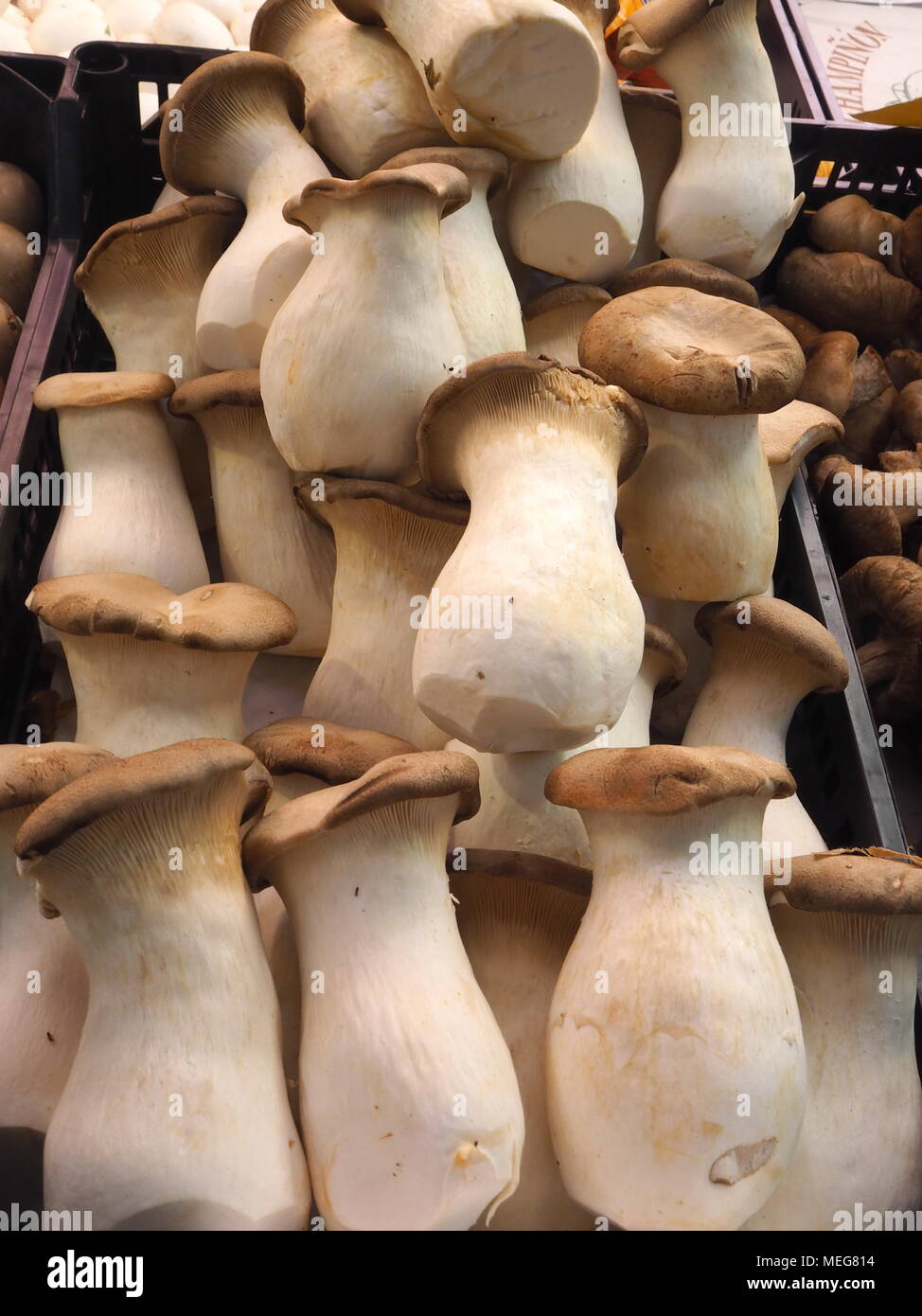 Champignons au marché un Banque D'Images