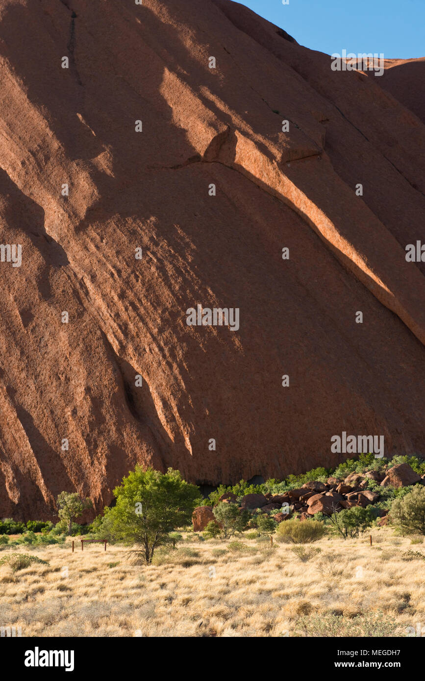 Les couches sédimentaires en pente visibles dans la roche d'Uluru (Ayers Rock). Uluṟu-Kata Tjuṯa National Park. Territoire du Nord, Australie. Banque D'Images