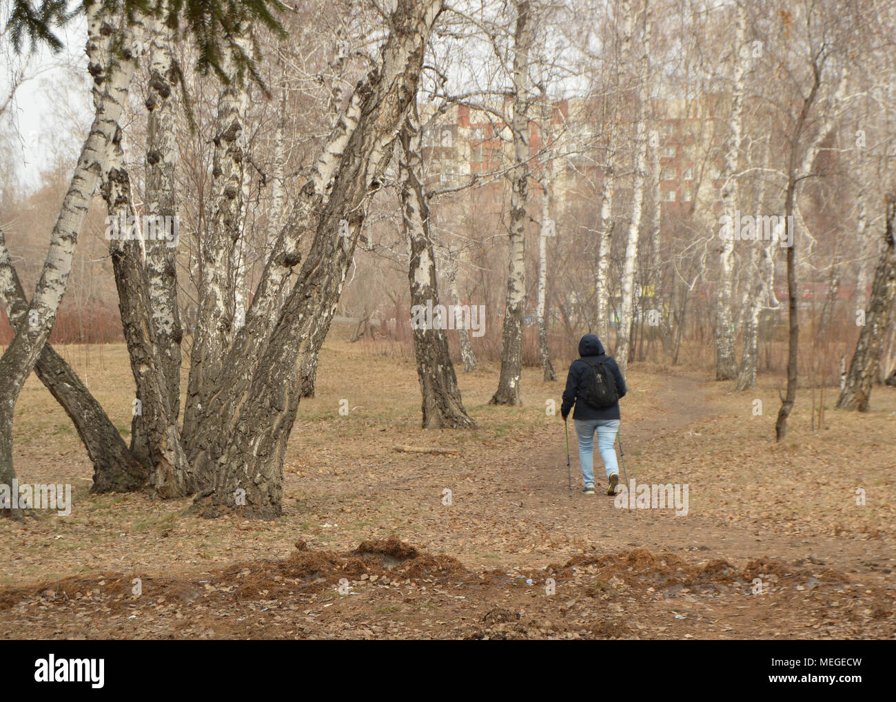 La marche nordique pour la perte de poids. Femme adultes engagés dans la randonnée dans le parc