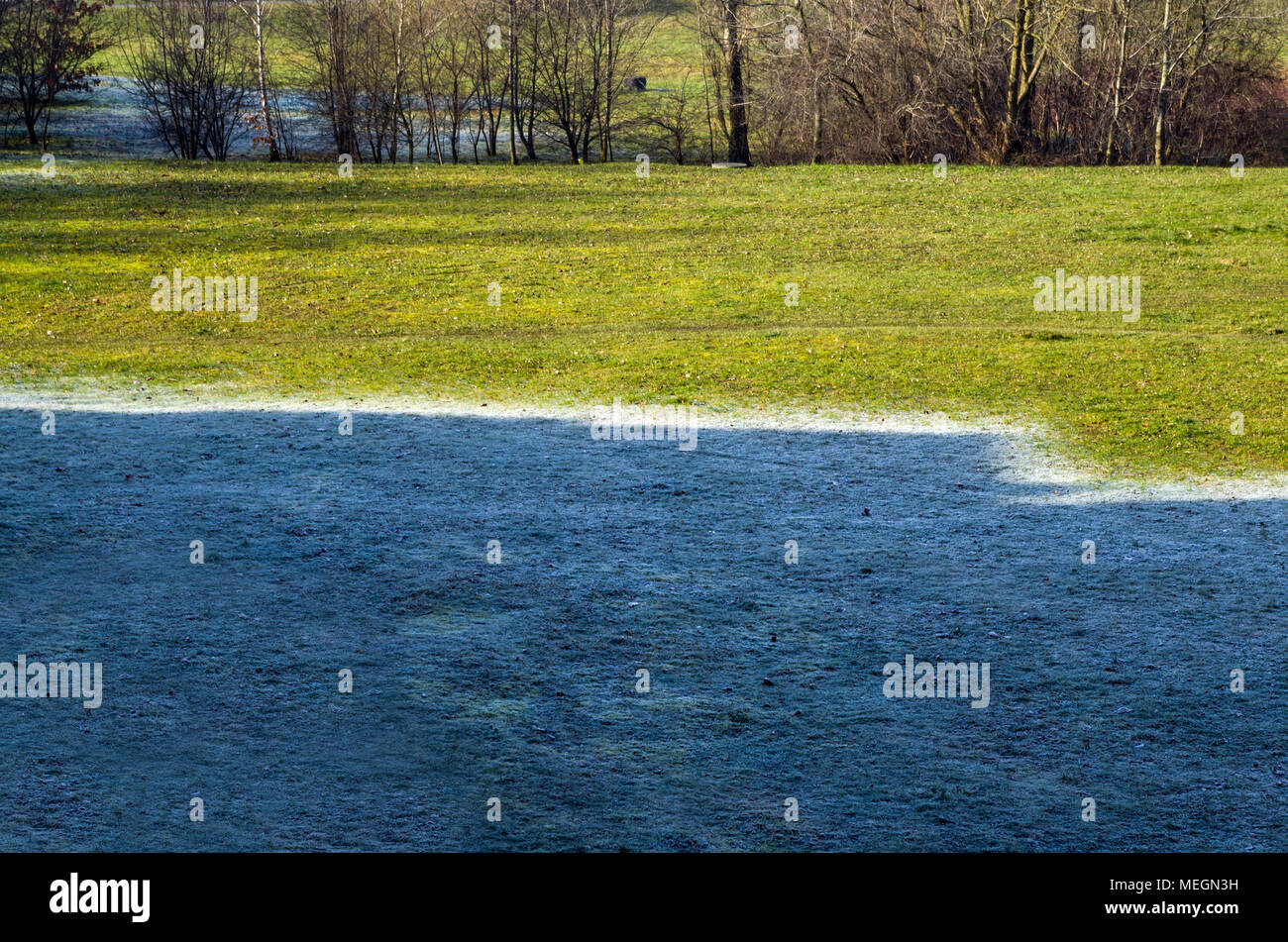Le givre et l'herbe verte. Ligne de démarcation des frontières entre le givre et herbe verte en hiver à Zabrze, hautes terres de Silésie, Pologne. Banque D'Images