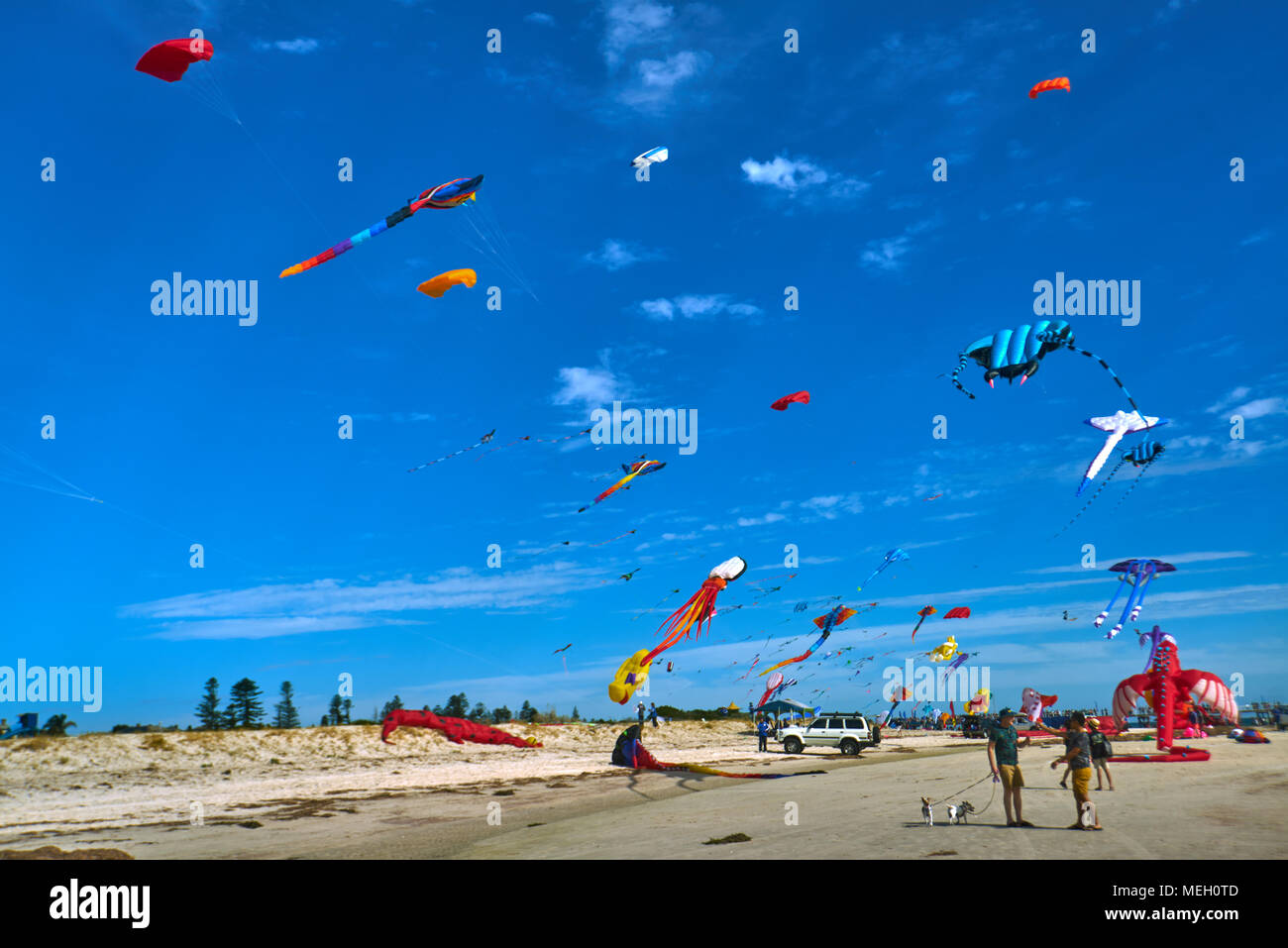 2018 Adelaide International Kite Festival à la plage de sémaphore, l'Australie a Göteborg Banque D'Images