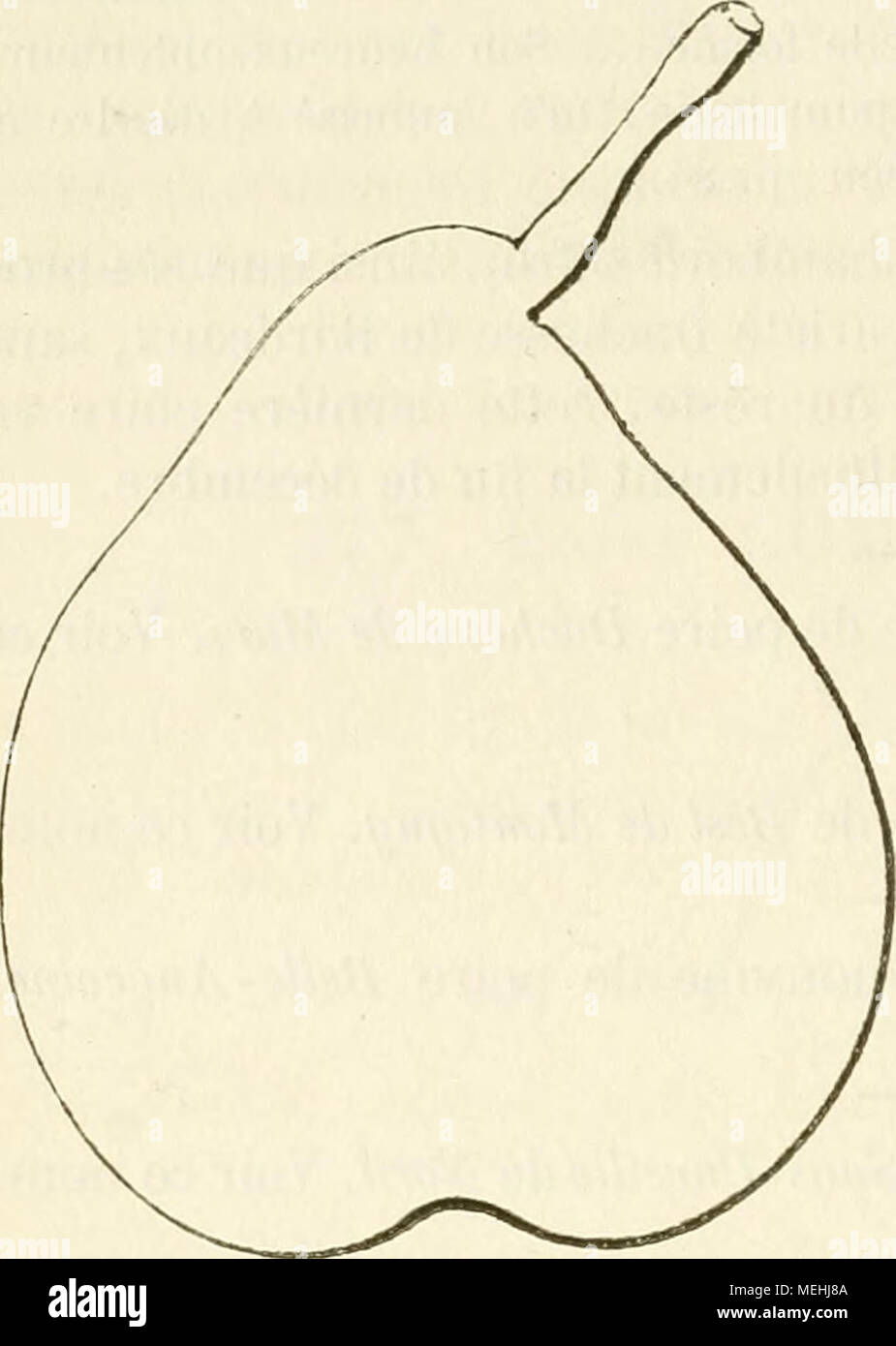 . Dictionnaire de mairie (Kiel), contenant l'histoire, la description, la figure des fruits anciens et des fruits modernes les plus G©N©ralement connus et cultivÂ©s . 379. Poire du CONGRÃS POMOLOGIQUE. Deseription de l'arbre. Â Bois : peu fort. Â Rameaux : assez nombreux, Ã©talÃ©s Ã la partie infÃ©rieure de la tige, Ã©ri- gÃ©s au sommet, de moyenne grosseur, des plus longs, de ni- culÃ©gÃ©s, brun clair lÃ©gÃ¨turation rosÃ©, Ã lenticelles apparentes et clair-semÃ©es, Ã coussinets apla- tis. Â Yeux . petits, larges, Ã©cartÃ©s du bois, souvent sortis en longs Ã©personnes, ayant les Ã©cailles mal soudÃ©es. Â Banque D'Images