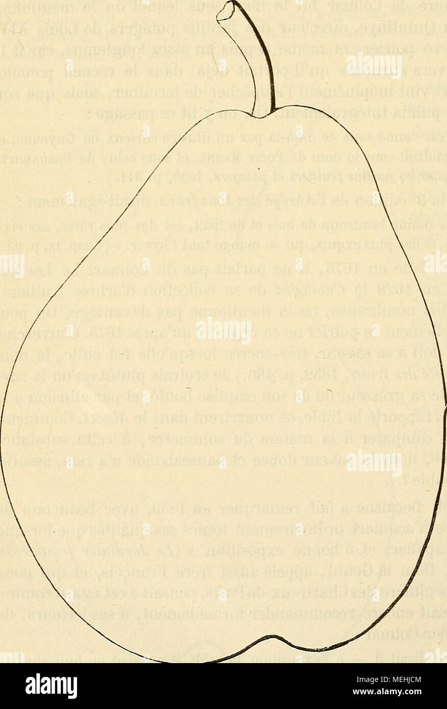 . Dictionnaire de mairie (Kiel) : contenant l'histoire, la description, la figure des fruits anciens et des fruits modernes les plus gÃ©nÃ©ralement connus et cultivÃ©s . FertilitÃ©. santÃ©. Satisfai- culture. Â Il est de vigueur ordinaire , se greffe sur toute espÃ¨ce de sujet, croit assez vite et prend une forme pyra- midale rÃ©guliÃ¨re et fort convenable. ^^dn Description ft. - Grosseur : considÃ©érable. - Forme : oblongue, pour- tement obtus, excessivement ventrues d'un cÃ'tÃ©, Ã peine de difamatorio iautie. PÃ©doncule : cour, bien nourri, bien arquÃ©, perpendiculairement ou obliquement Banque D'Images
