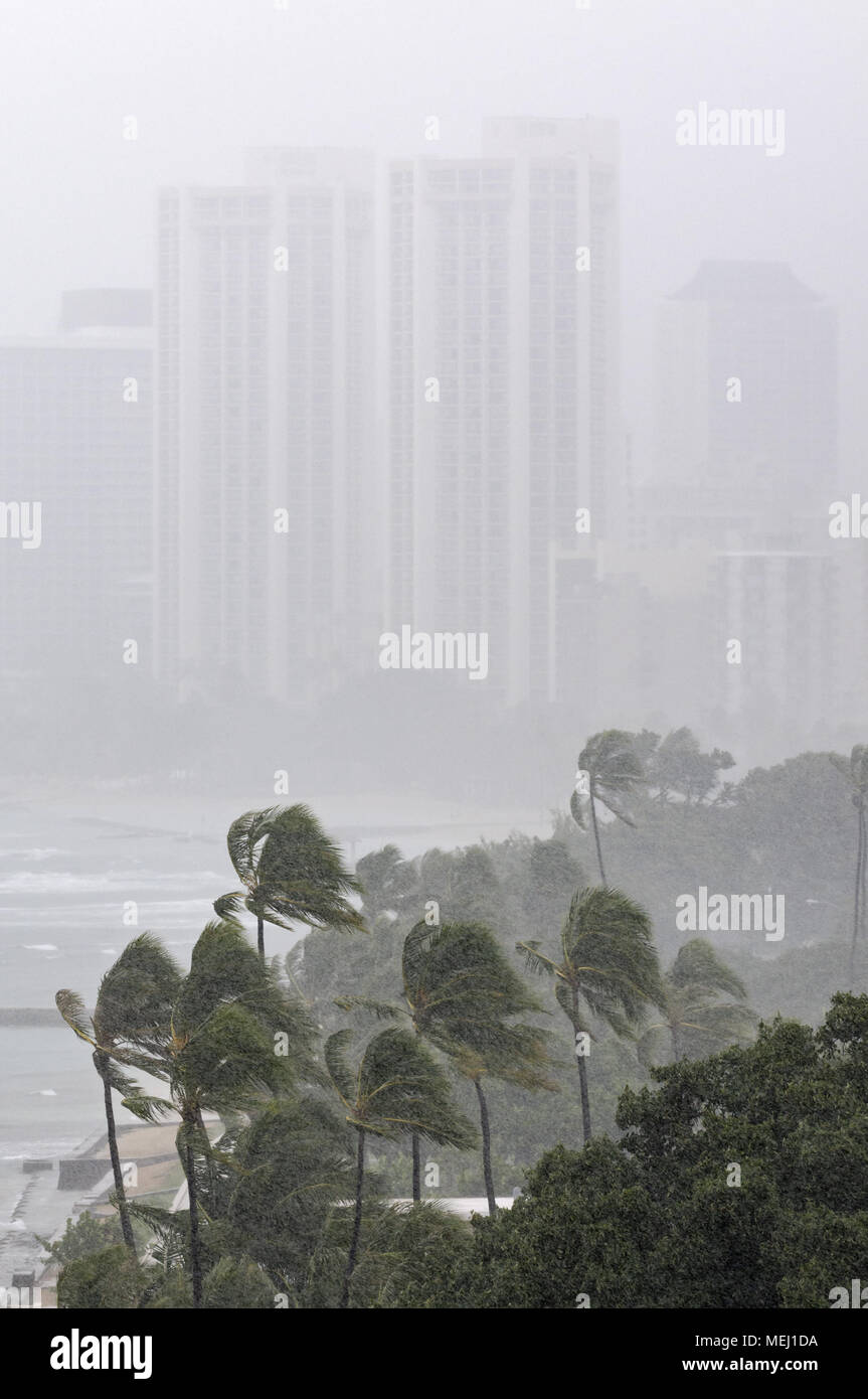 Honolulu, Hawaii, USA. 4e Mar, 2011. Une tempête tropicale avec des vents forts et les fortes pluies de fouet la zone Waikiki de Honolulu. Credit : Bayne Stanley/ZUMA/Alamy Fil Live News Banque D'Images