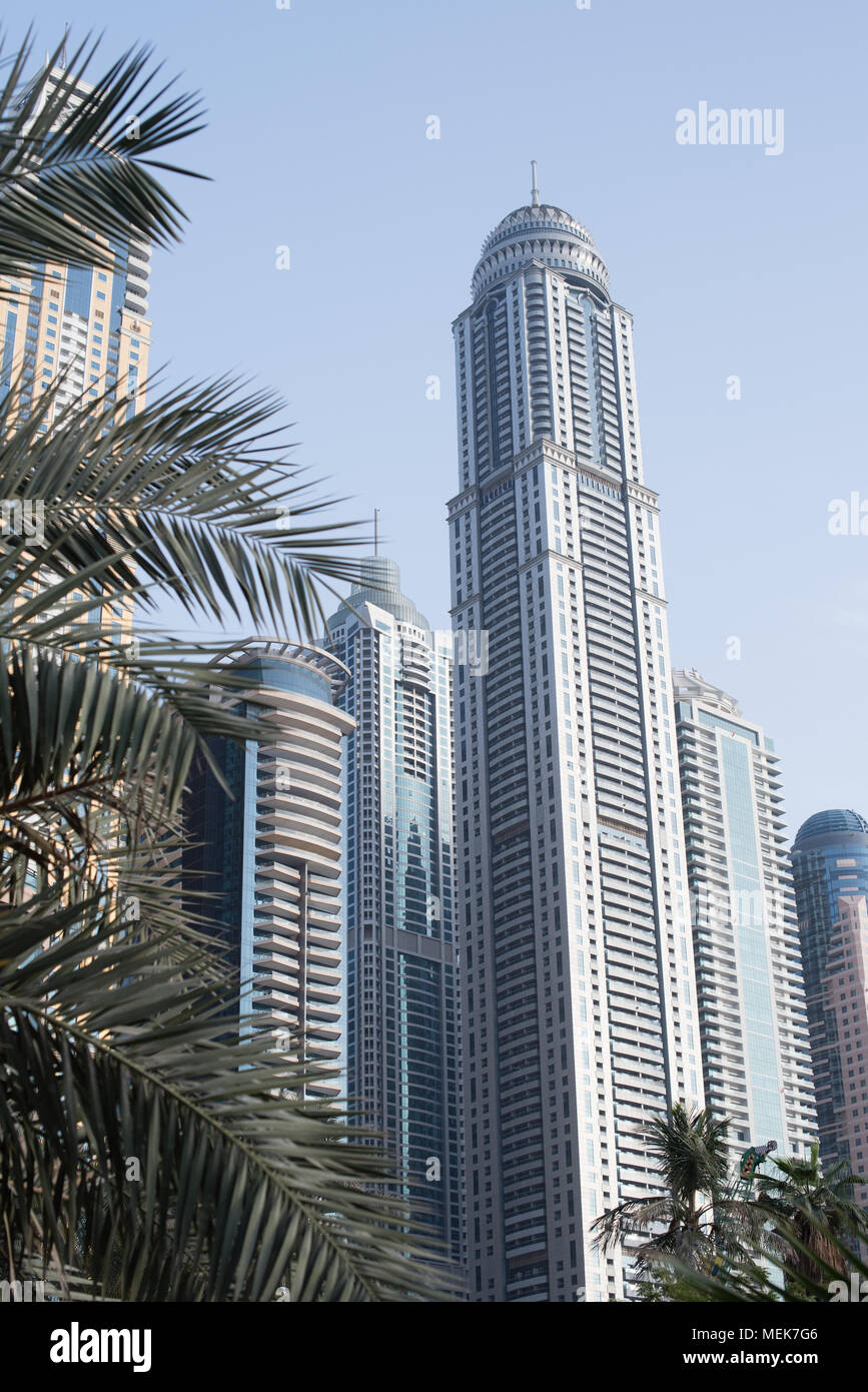 Une vue sur une tour par des feuilles de palmier à Dubaï Banque D'Images