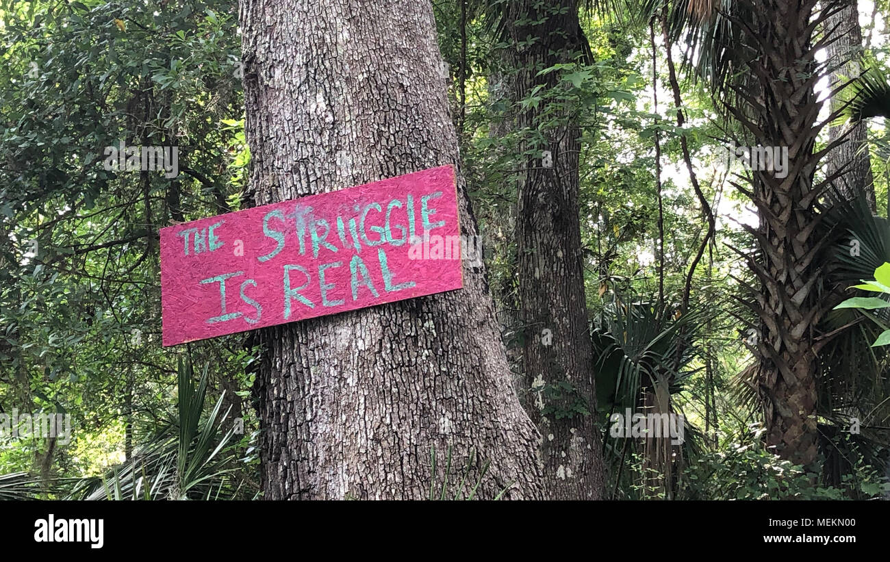 Un panneau dans un pouilleux, zone rurale de Floride dit ceci : "La lutte est réel" Banque D'Images