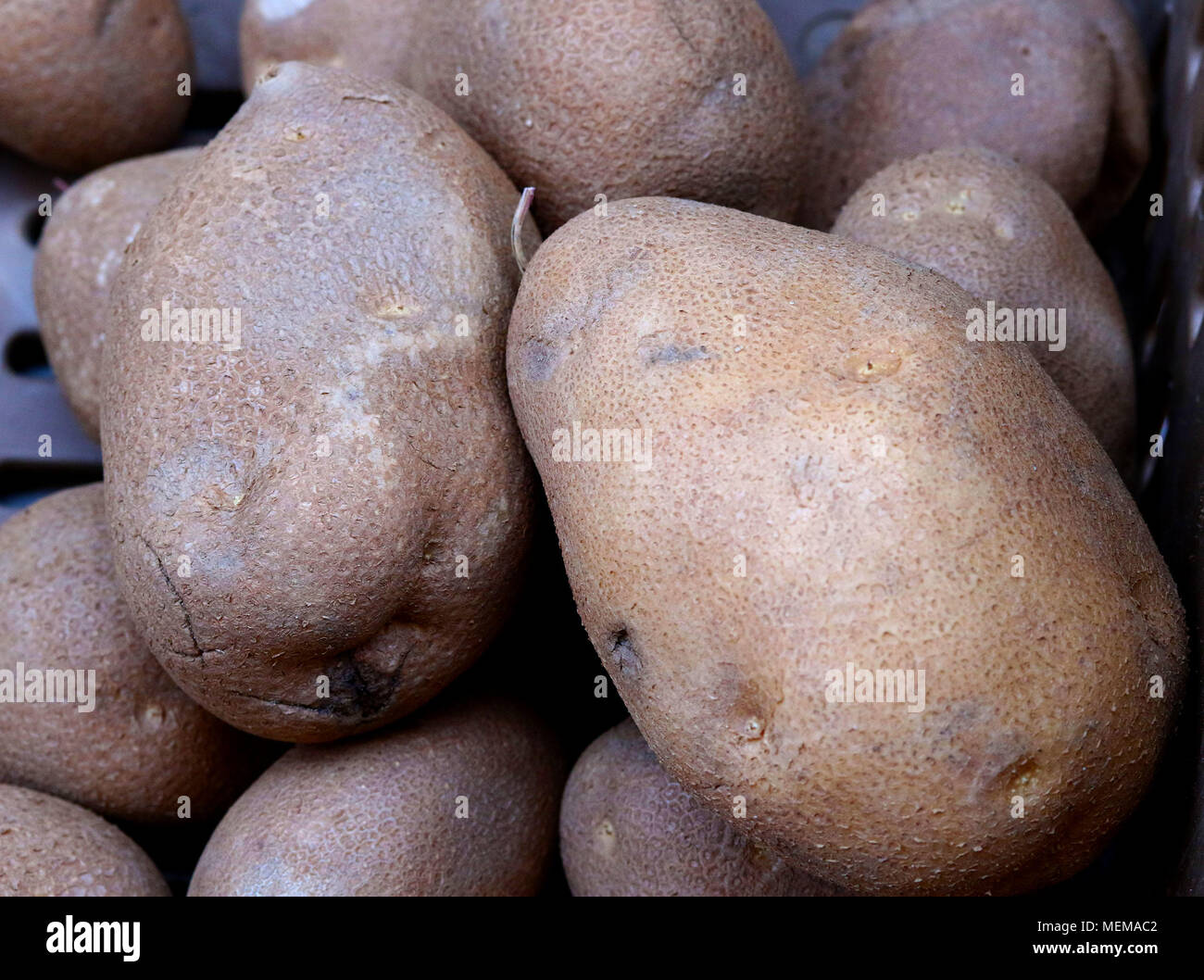 Amey Pommes de terre Russet au Farmer's Market Banque D'Images