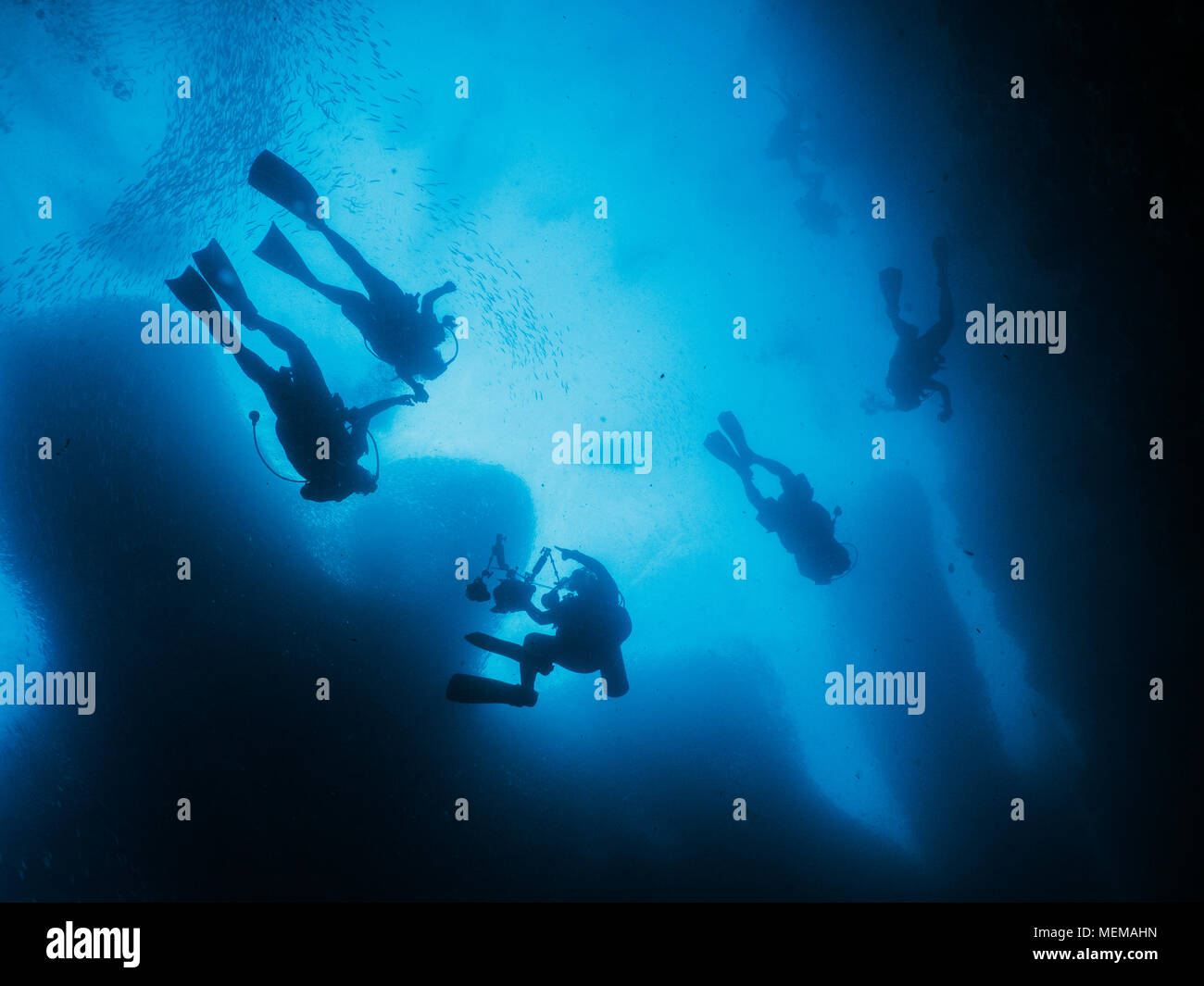 Scuba Diver avec banc de poissons Banque D'Images