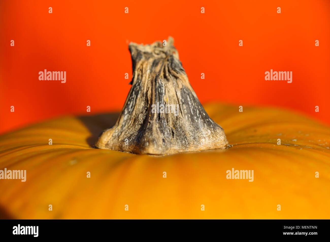 Orange citrouille se trouve sur la table. Banque D'Images