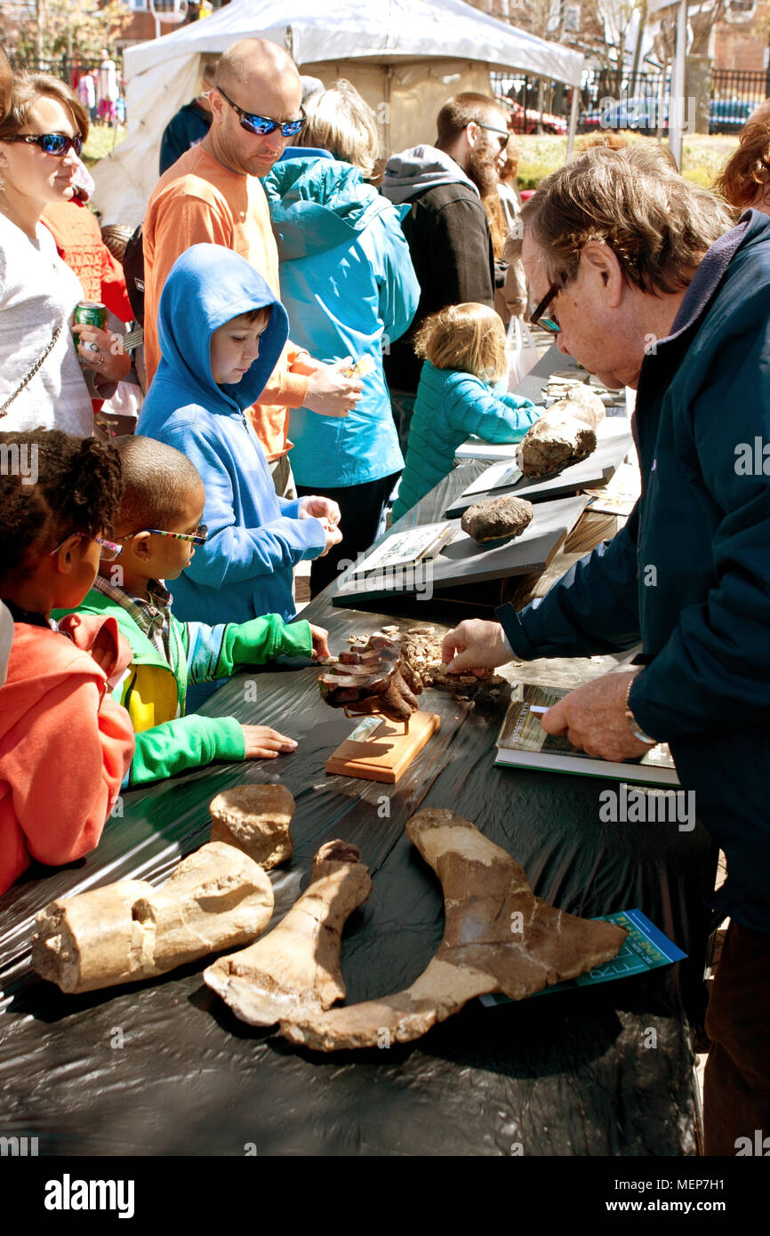 Atlanta, GA, USA - Le 28 mars 2015 : les enfants et les familles regarder un écran de fossiles à l'Atlanta Fête de la science au parc du centenaire à Atlanta, GA. Banque D'Images