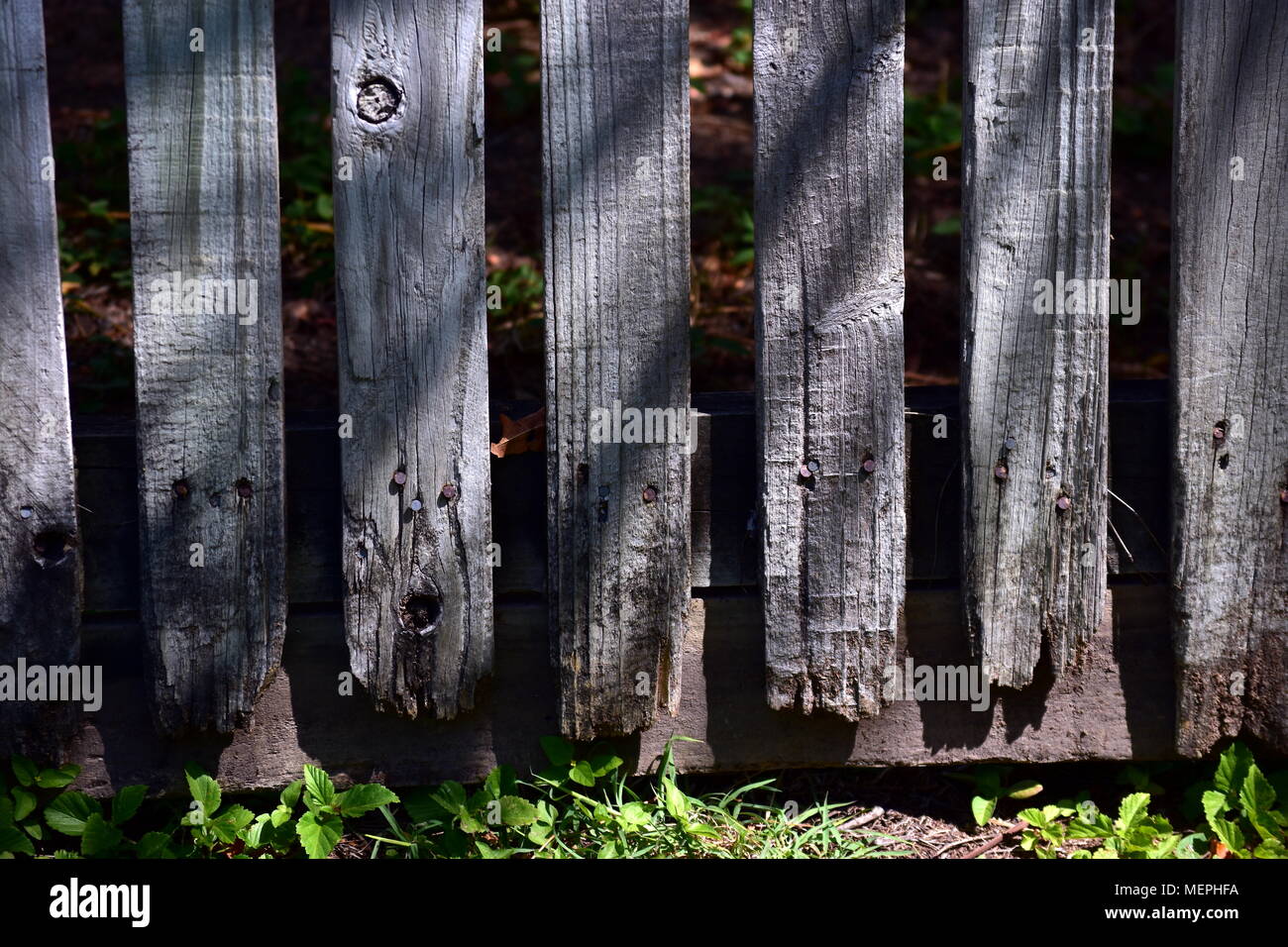 vieille clôture Banque D'Images