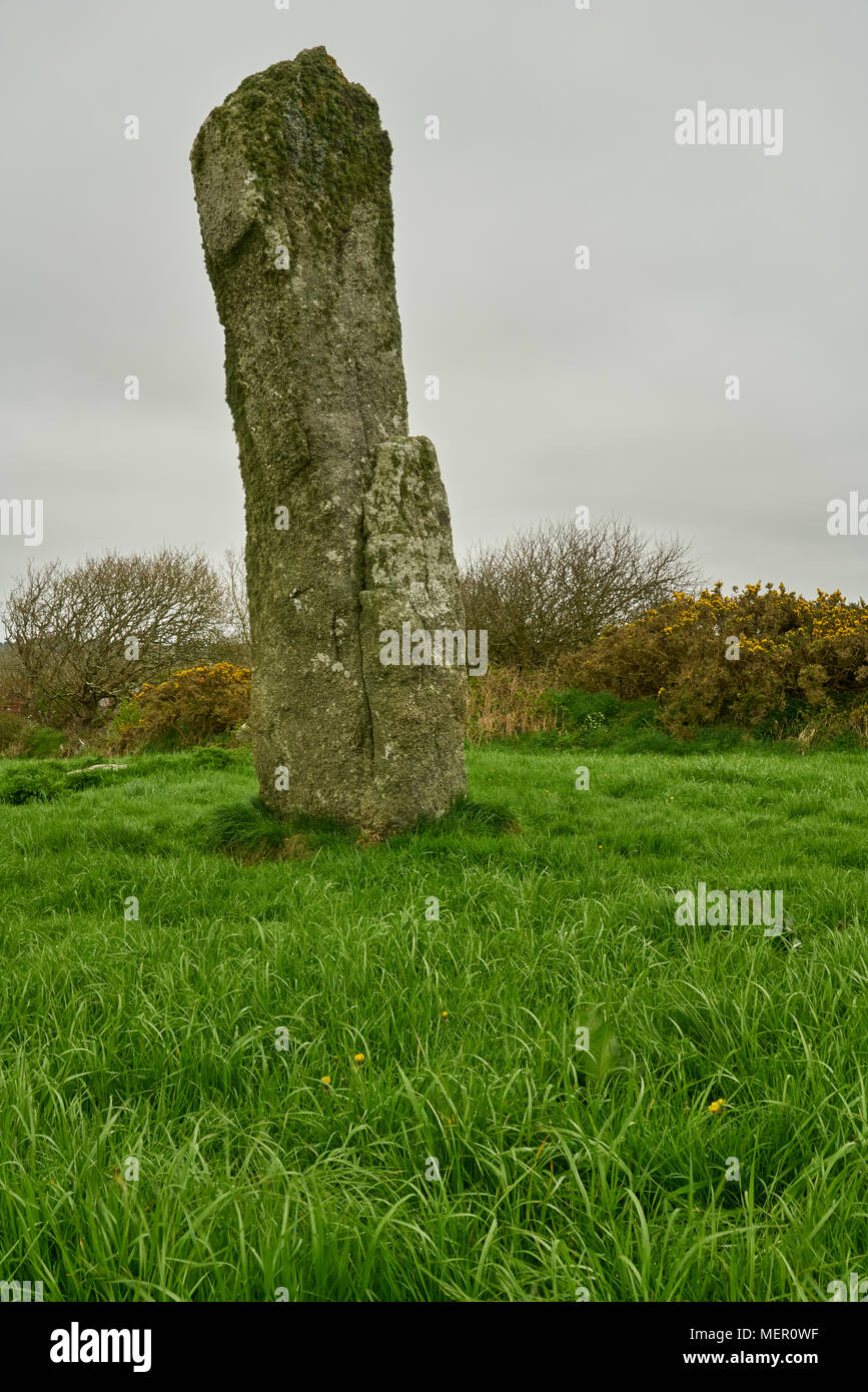 Les Pipers menhirs Banque D'Images