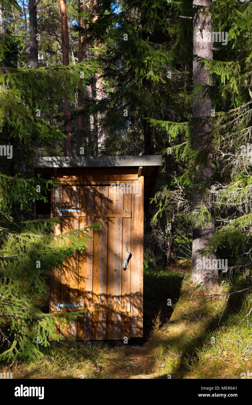 Une toilette sèche est debout dans une forêt ensoleillée. Banque D'Images