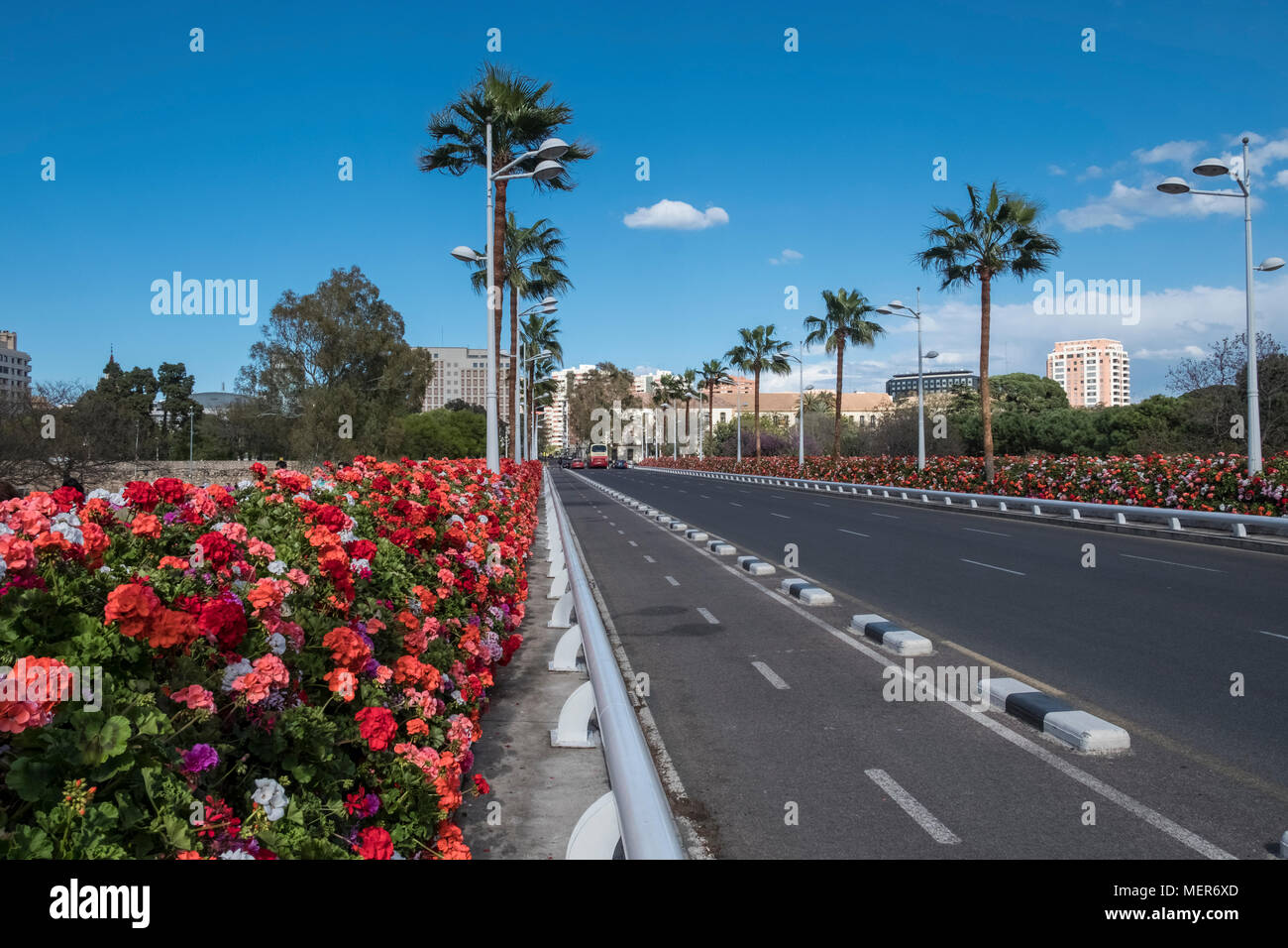 Puente de las Flores - Pont de fleurs de Pélargonium sur le parc public Jardinines del Turia, Valencia, Espagne Banque D'Images