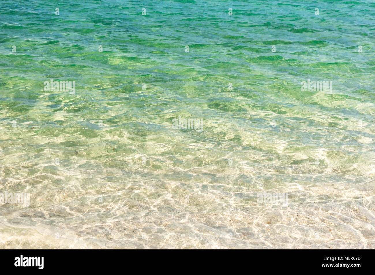 Bleu clair transparent été tropical beach water background Banque D'Images