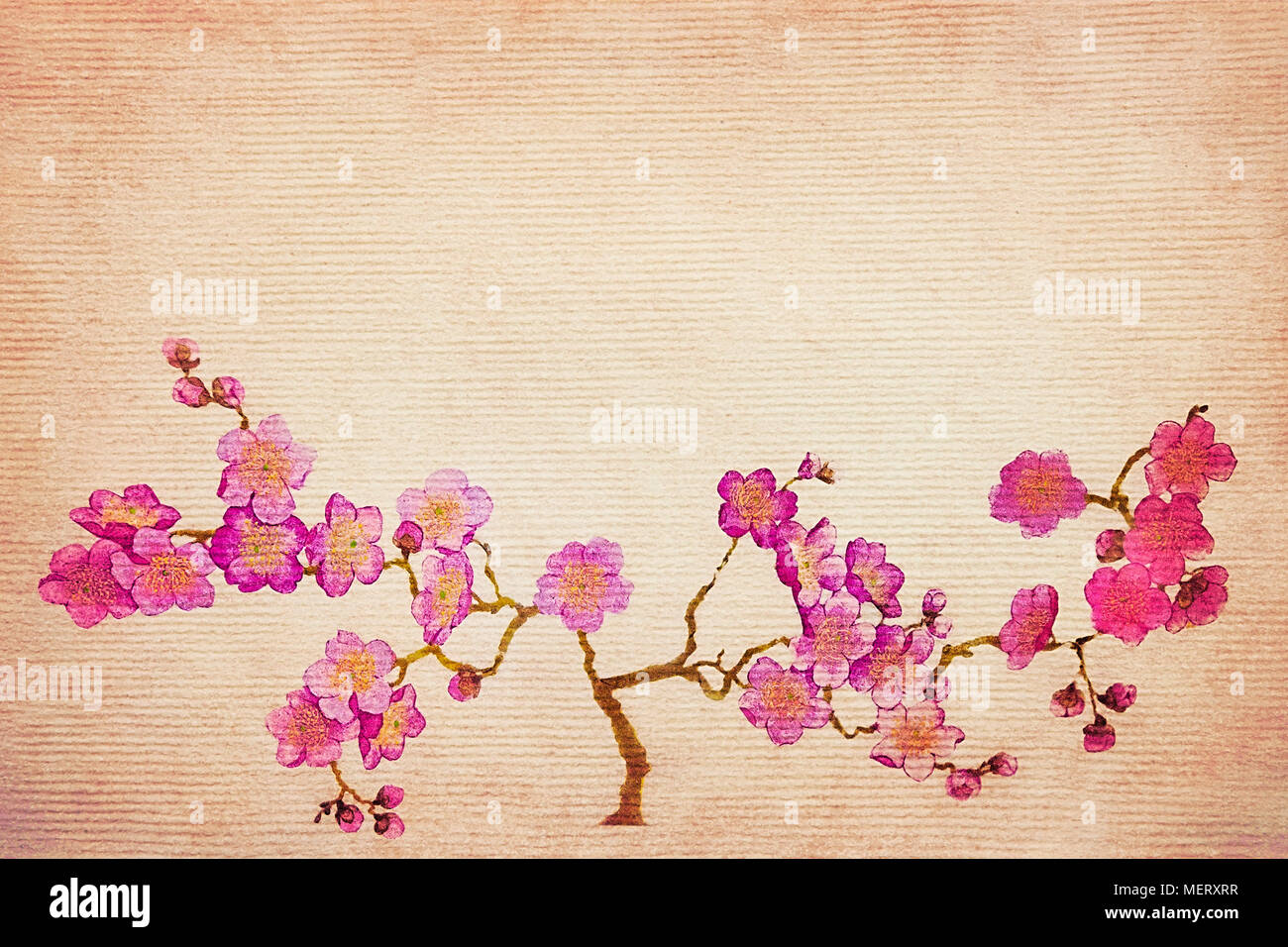 Vintage grunge background avec des cerisiers en fleur au printemps. Banque D'Images