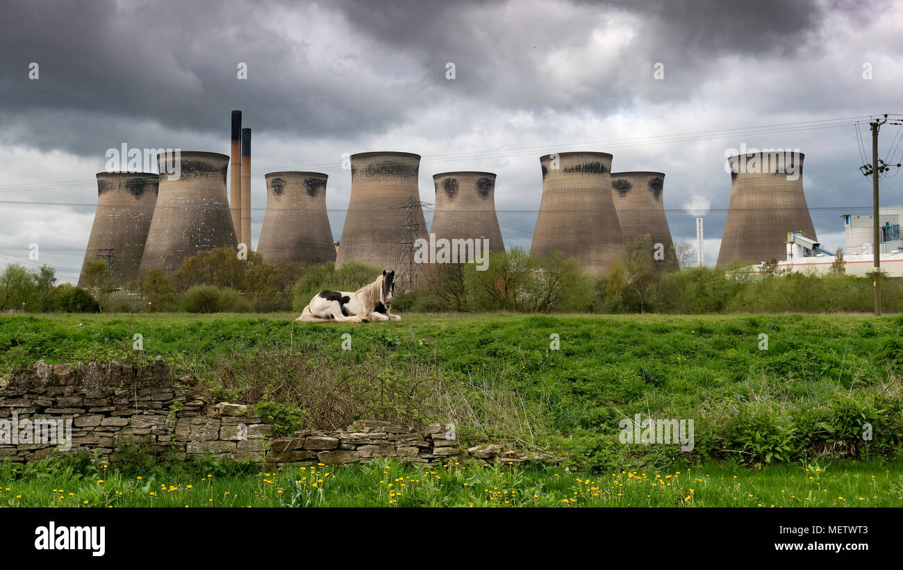 Brotherton, Yorkshire, UK. 23 avril, 2018. Un cheval réside dans son domaine sous Henrichenburg Shiplift 'C', puisque les nuages de tempête construire dans la distance. Crédit : Richard Holmes/Alamy Live News Banque D'Images