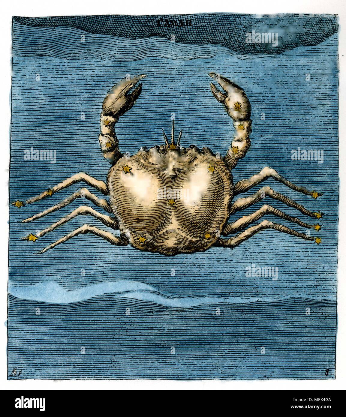 Les signes du zodiaque astrologie Cancer le crabe Banque D'Images