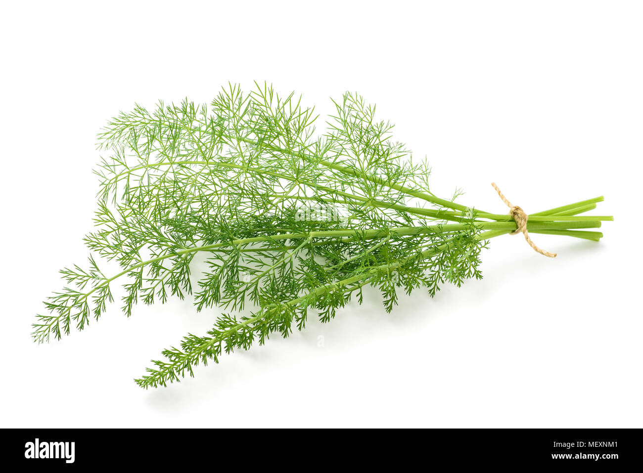 Bouquet de fenouil sauvage isolé sur fond blanc Banque D'Images