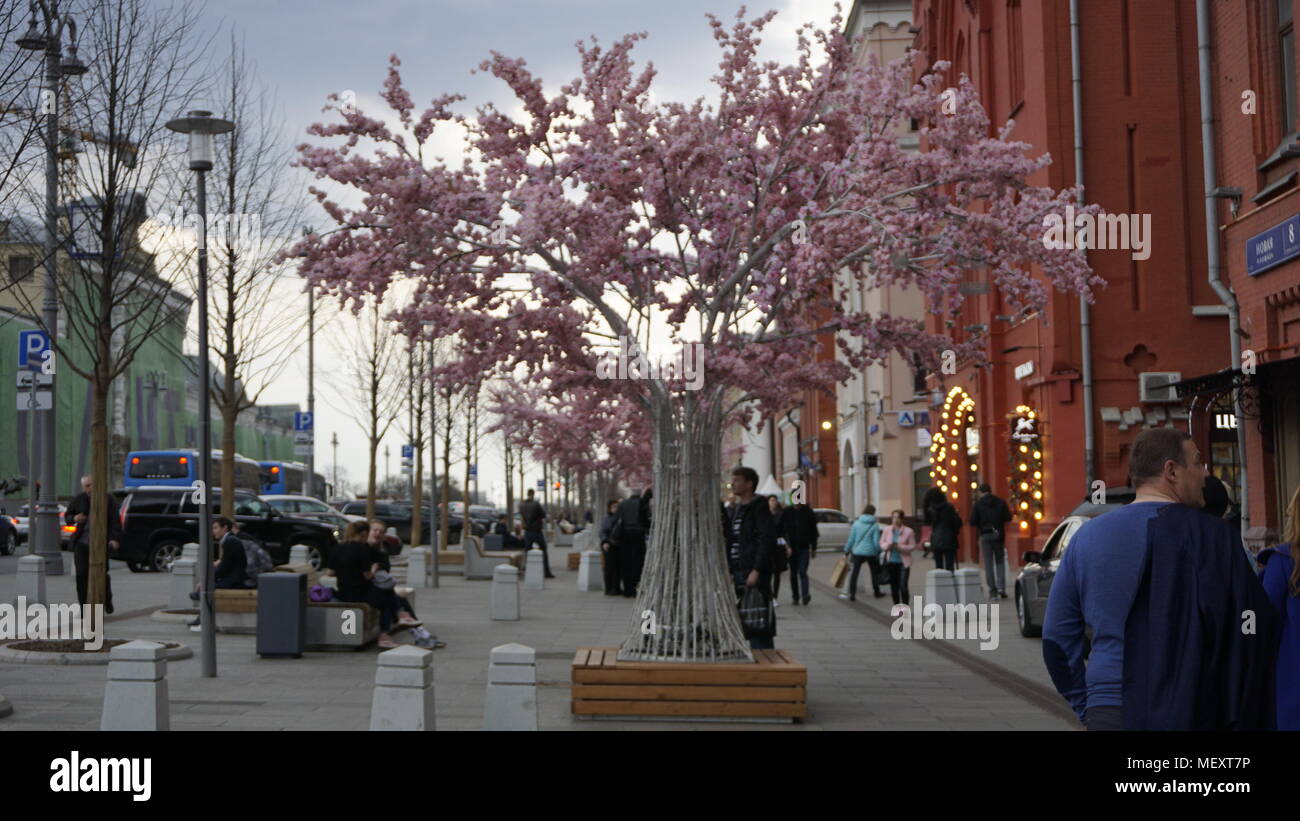 Russie Moscou Banque D'Images